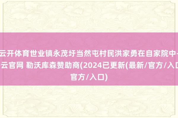 云开体育世业镇永茂圩当然屯村民洪家勇在自家院中-开云官网 勒沃库森赞助商(2024已更新(最新/官方/入口)