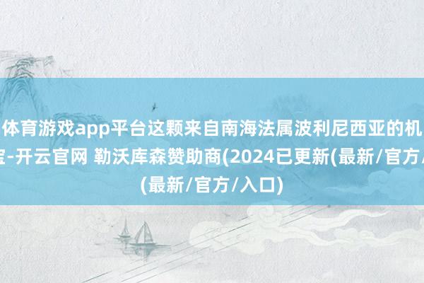 体育游戏app平台这颗来自南海法属波利尼西亚的机要瑰宝-开云官网 勒沃库森赞助商(2024已更新(最新/官方/入口)