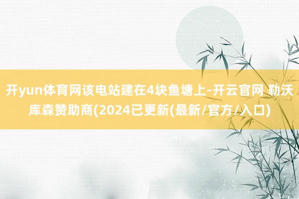 开yun体育网该电站建在4块鱼塘上-开云官网 勒沃库森赞助商(2024已更新(最新/官方/入口)