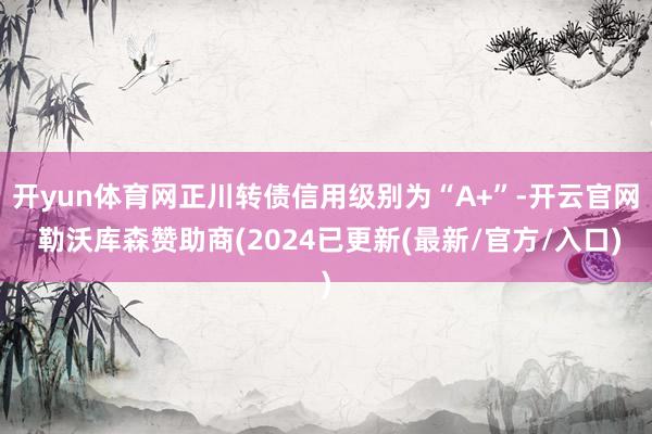 开yun体育网正川转债信用级别为“A+”-开云官网 勒沃库森赞助商(2024已更新(最新/官方/入口)